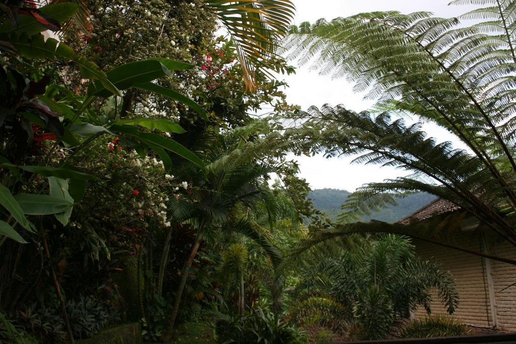 Puri Alam Bali Hotel Munduk  Exterior photo